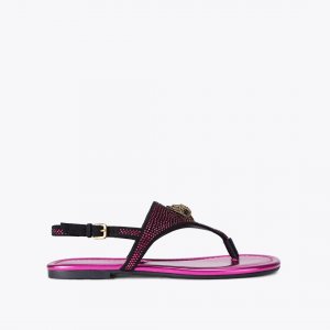 Kurt Geiger Kensington Flat Slingback - Fushia Combination